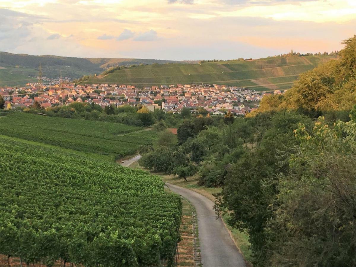 Ferienwohnungen Weinstadt Exteriör bild