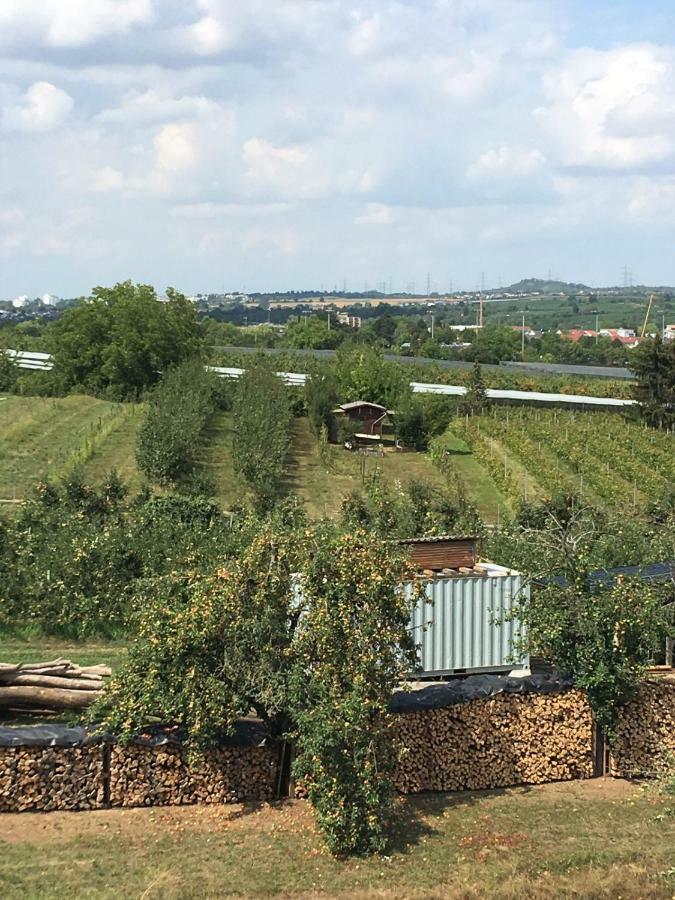 Ferienwohnungen Weinstadt Exteriör bild